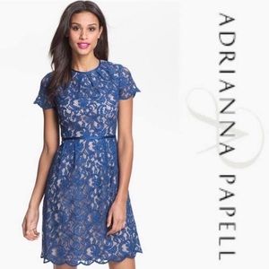Adrianna Papell classy blue nude lace dress